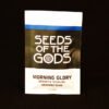 Buy MORNING GLORY SEEDS